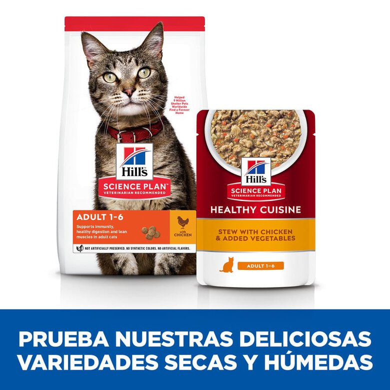  Hill's Science Plan Adult Healthy Cuisine Guisado de Frango e Legumes saqueta para gatos, , large image number null